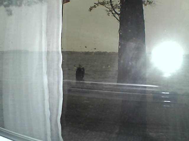 Whiteface Cam Image - Thu, 10/11/2018 7:01am 