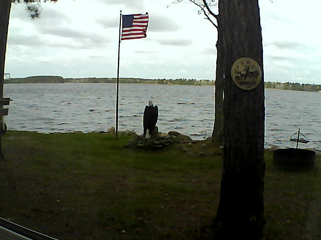 Whiteface Cam Image - Fri, 10/19/2018 10:14am 