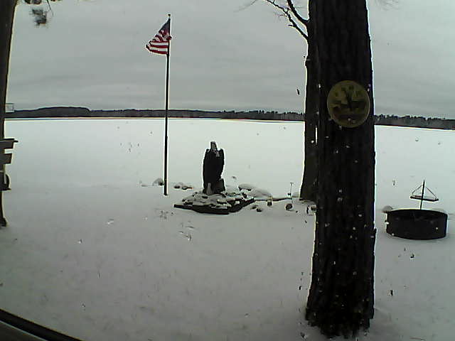 Whiteface Cam Image - Fri, 11/16/2018 9:15am 