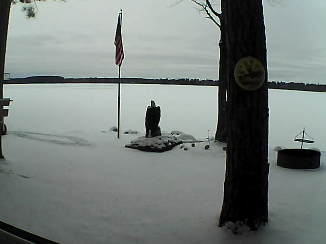 Whiteface Cam Image - Wed, 11/21/2018 2:52pm 