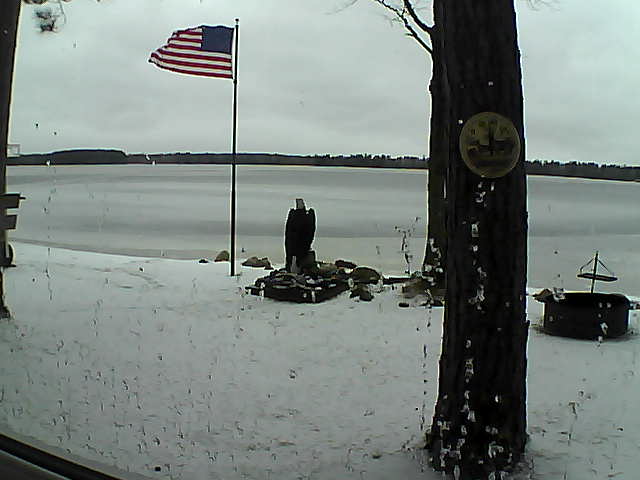 Whiteface Cam Image - Sat, 11/24/2018 2:46pm 