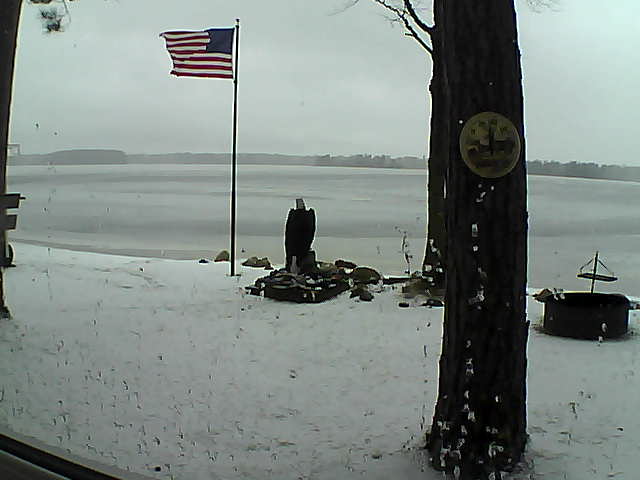 Whiteface Cam Image - Sat, 11/24/2018 3:06pm 