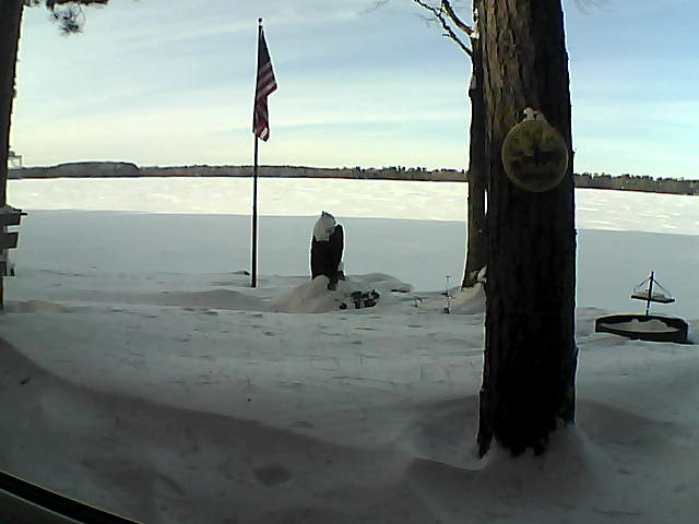 Whiteface Cam Image - Thu, 01/03/2019 1:46pm 