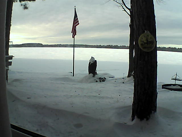 Whiteface Cam Image - Fri, 01/04/2019 2:48pm 