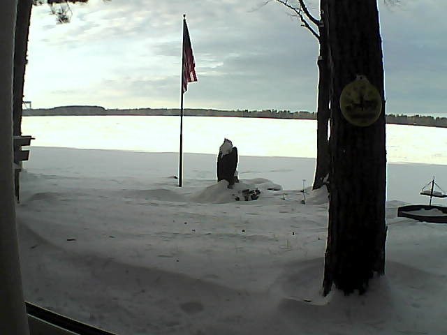 Whiteface Cam Image - Fri, 01/04/2019 3:18pm 