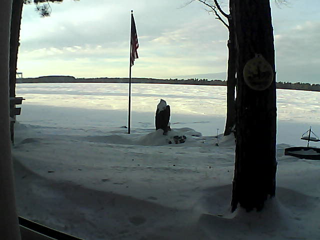 Whiteface Cam Image - Fri, 01/04/2019 3:48pm 