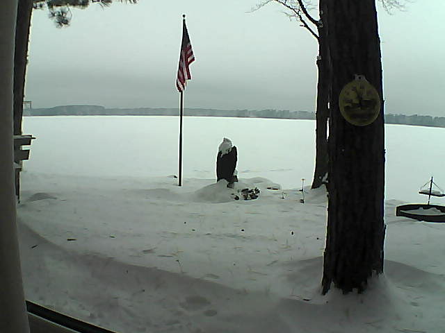 Whiteface Cam Image - Sat, 01/05/2019 7:56am 