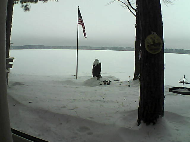 Whiteface Cam Image - Sat, 01/05/2019 8:16am 