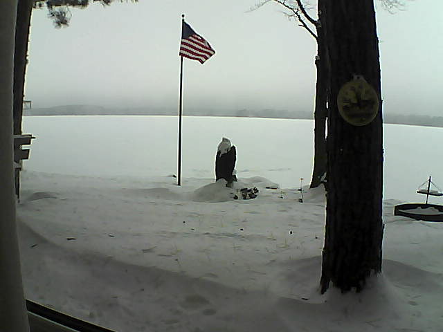 Whiteface Cam Image - Sat, 01/05/2019 8:46am 