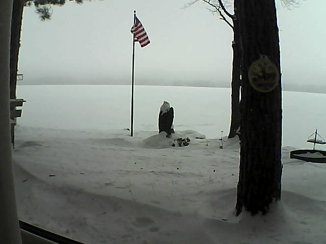 Whiteface Cam Image - Sat, 01/05/2019 8:56am 