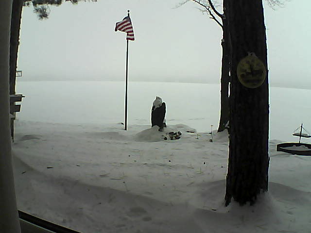 Whiteface Cam Image - Sat, 01/05/2019 9:06am 