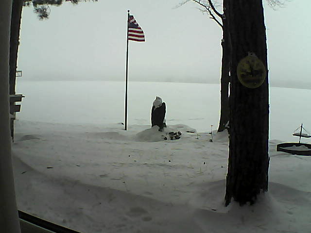 Whiteface Cam Image - Sat, 01/05/2019 9:16am 