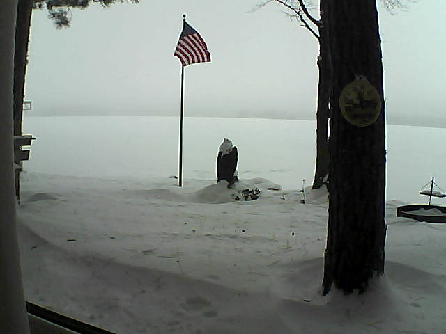 Whiteface Cam Image - Sat, 01/05/2019 9:36am 