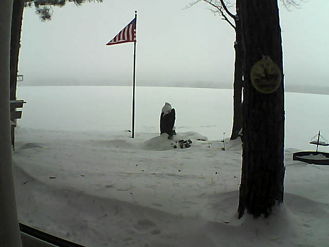 Whiteface Cam Image - Sat, 01/05/2019 9:46am 
