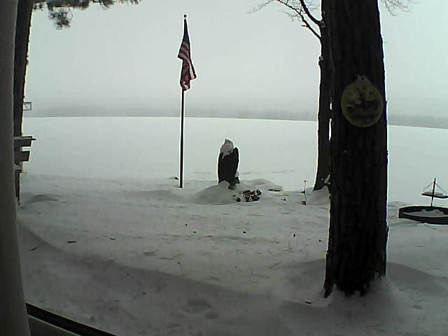 Whiteface Cam Image - Sat, 01/05/2019 9:56am 
