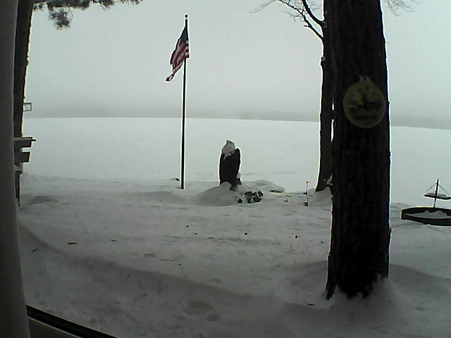 Whiteface Cam Image - Sat, 01/05/2019 10:16am 