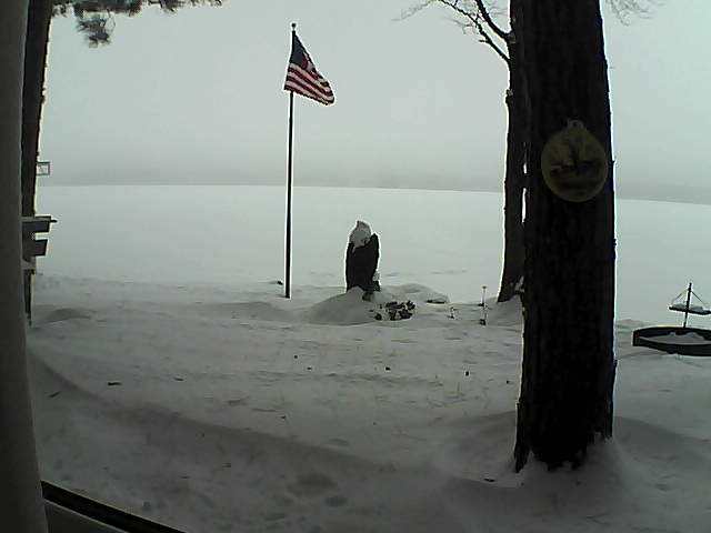 Whiteface Cam Image - Sat, 01/05/2019 10:36am 