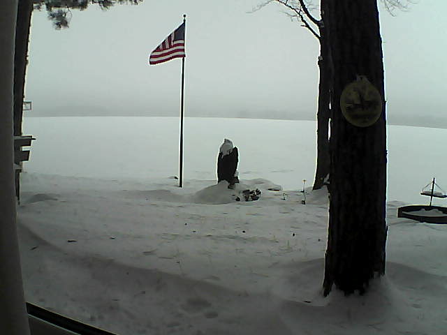 Whiteface Cam Image - Sat, 01/05/2019 10:56am 