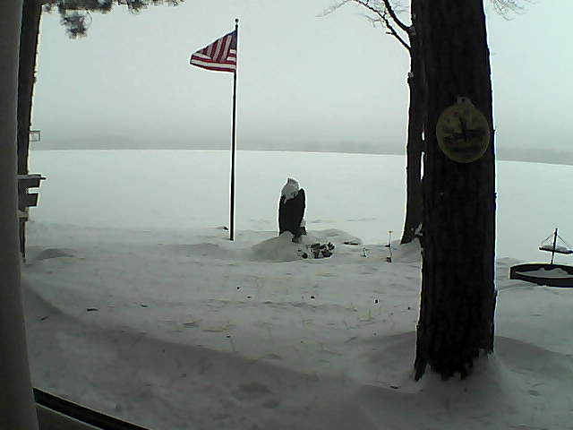 Whiteface Cam Image - Sat, 01/05/2019 11:06am 