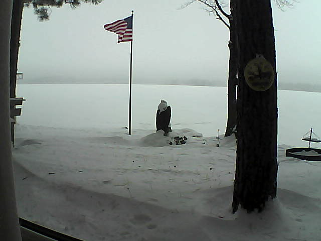 Whiteface Cam Image - Sat, 01/05/2019 11:17am 