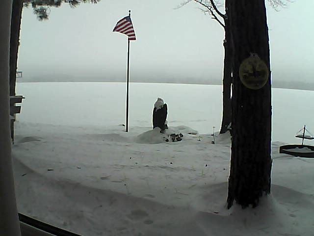 Whiteface Cam Image - Sat, 01/05/2019 11:37am 