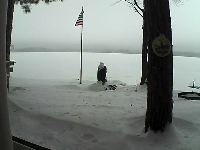 Whiteface Cam Image - Sat, 01/05/2019 11:47am 