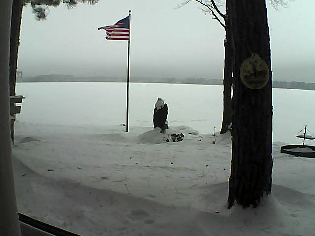 Whiteface Cam Image - Sat, 01/05/2019 11:57am 