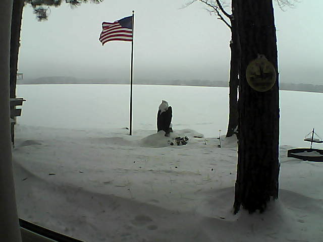 Whiteface Cam Image - Sat, 01/05/2019 12:17pm 