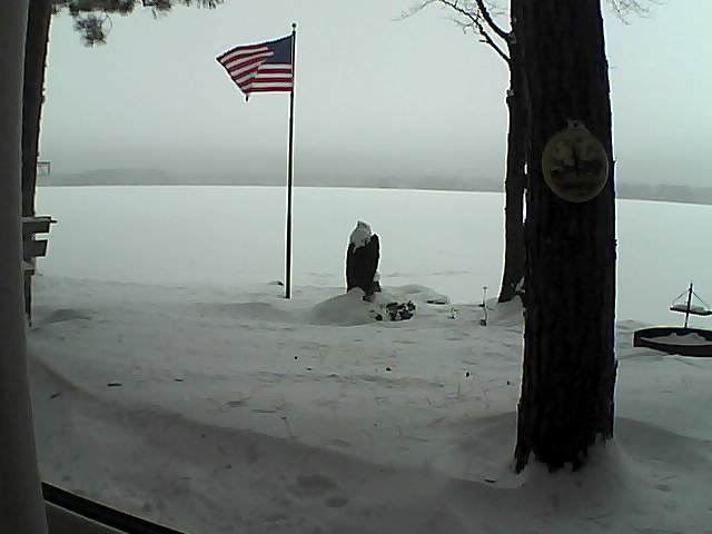 Whiteface Cam Image - Sat, 01/05/2019 12:47pm 