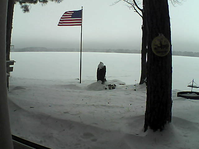Whiteface Cam Image - Sat, 01/05/2019 12:57pm 
