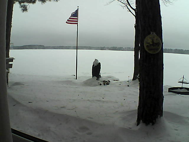 Whiteface Cam Image - Sat, 01/05/2019 1:17pm 