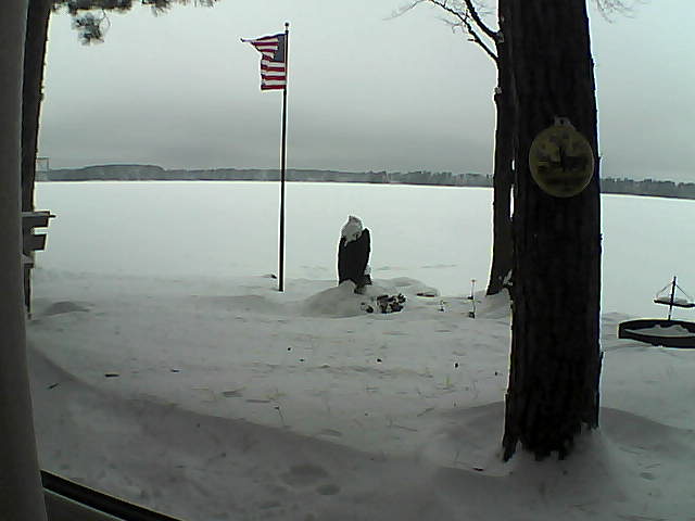 Whiteface Cam Image - Sat, 01/05/2019 1:37pm 