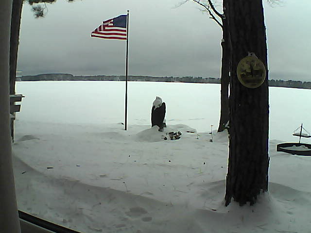 Whiteface Cam Image - Sat, 01/05/2019 2:37pm 