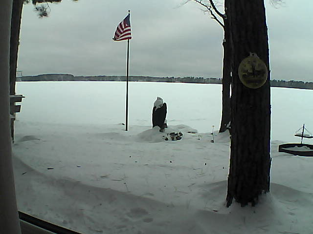 Whiteface Cam Image - Sat, 01/05/2019 3:17pm 