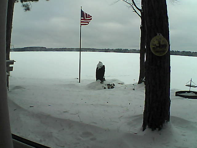 Whiteface Cam Image - Sat, 01/05/2019 3:37pm 