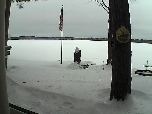 Whiteface Cam Image - Sun, 01/06/2019 7:36am 