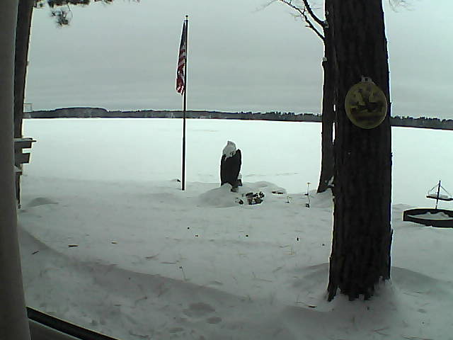 Whiteface Cam Image - Sun, 01/06/2019 7:56am 