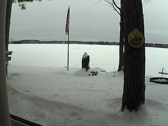 Whiteface Cam Image - Sun, 01/06/2019 8:06am 