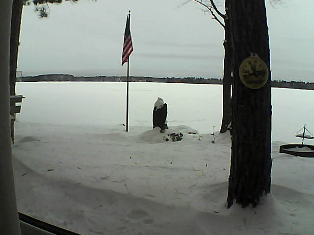 Whiteface Cam Image - Sun, 01/06/2019 8:36am 