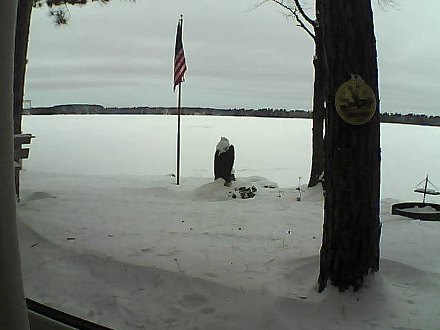 Whiteface Cam Image - Sun, 01/06/2019 8:46am 