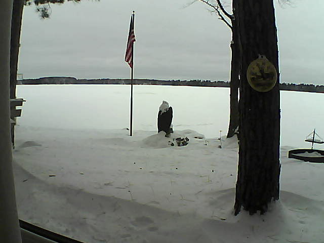 Whiteface Cam Image - Sun, 01/06/2019 9:16am 