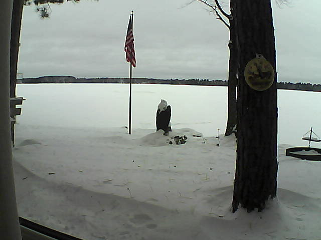 Whiteface Cam Image - Sun, 01/06/2019 9:46am 