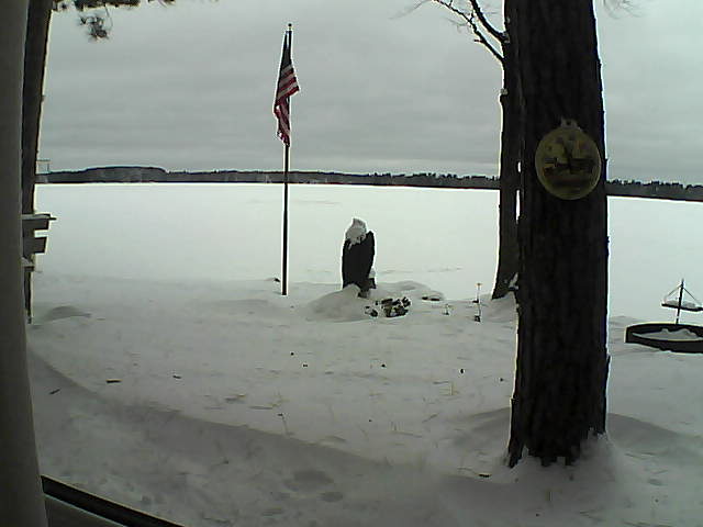 Whiteface Cam Image - Sun, 01/06/2019 11:46am 