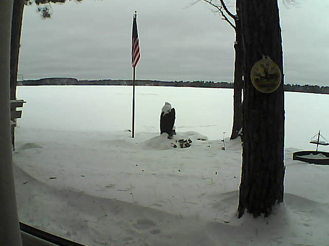 Whiteface Cam Image - Sun, 01/06/2019 12:06pm 