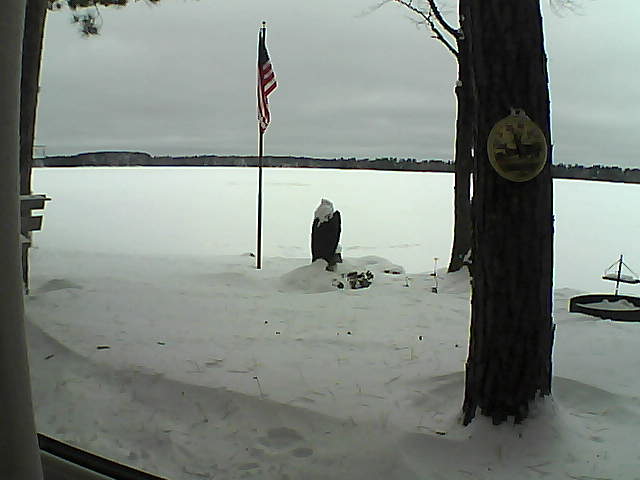 Whiteface Cam Image - Sun, 01/06/2019 12:16pm 