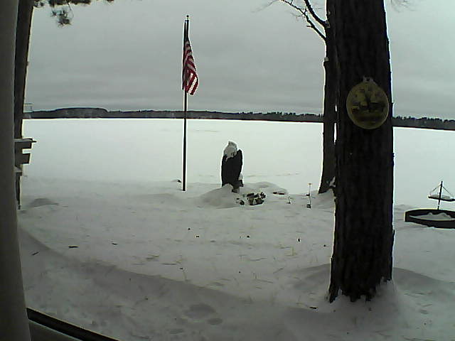 Whiteface Cam Image - Sun, 01/06/2019 12:46pm 