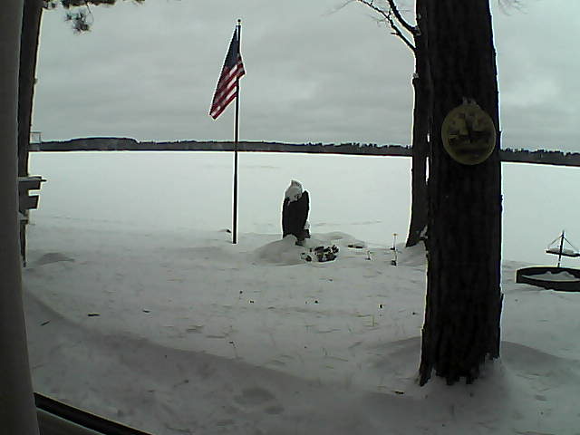 Whiteface Cam Image - Sun, 01/06/2019 2:56pm 