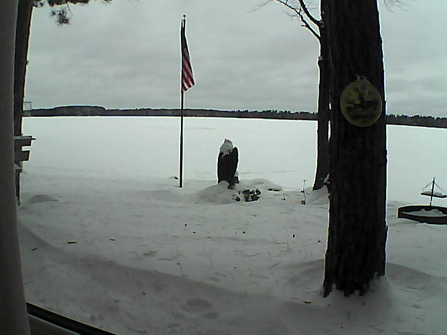 Whiteface Cam Image - Sun, 01/06/2019 3:06pm 