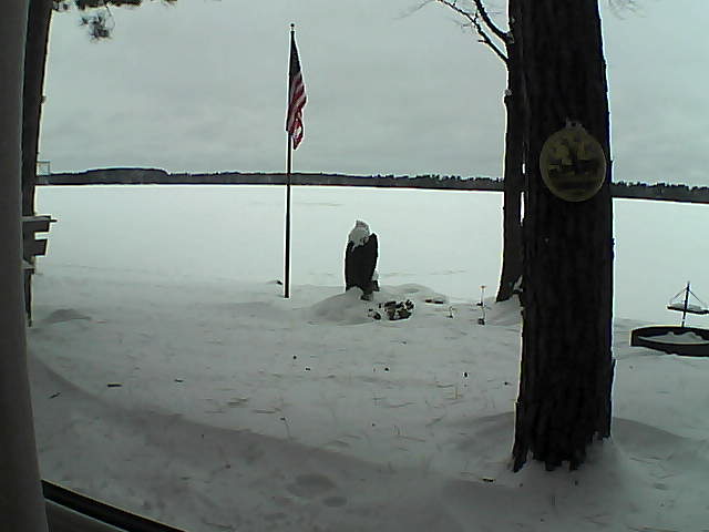 Whiteface Cam Image - Sun, 01/06/2019 3:36pm 