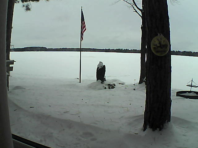 Whiteface Cam Image - Sun, 01/06/2019 3:56pm 